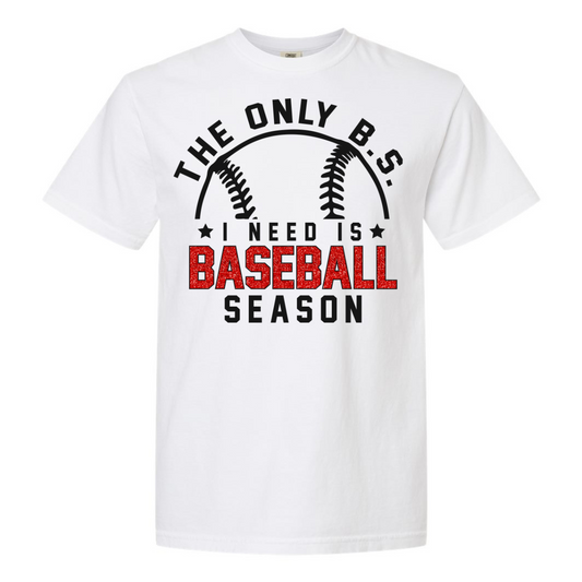 Sports - No BS in Baseball