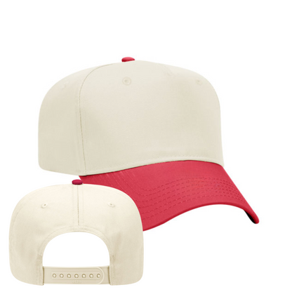 SAES -Titans Embroidered Retro Ball Cap